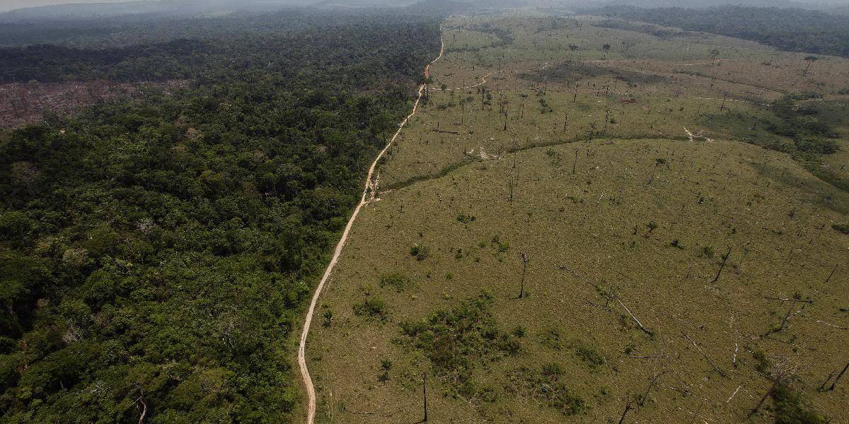 Odlesňovanie Amazonského pralesa rekordne stúplo, za rok o 28 percent