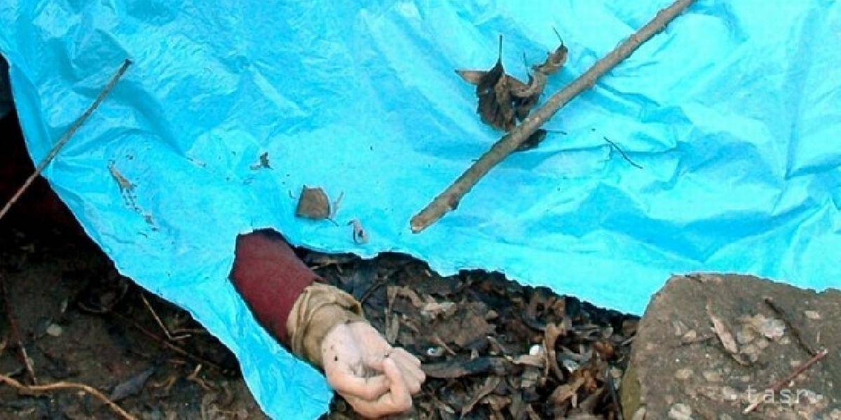 V Bardejove peň zavalil 63-ročného muža, zraneniam podľahol