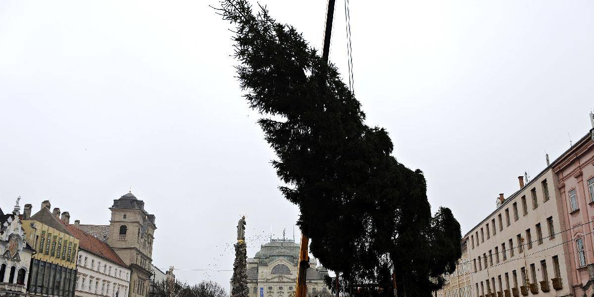 Košický vianočný strom je rovesníkom primátora Rašiho