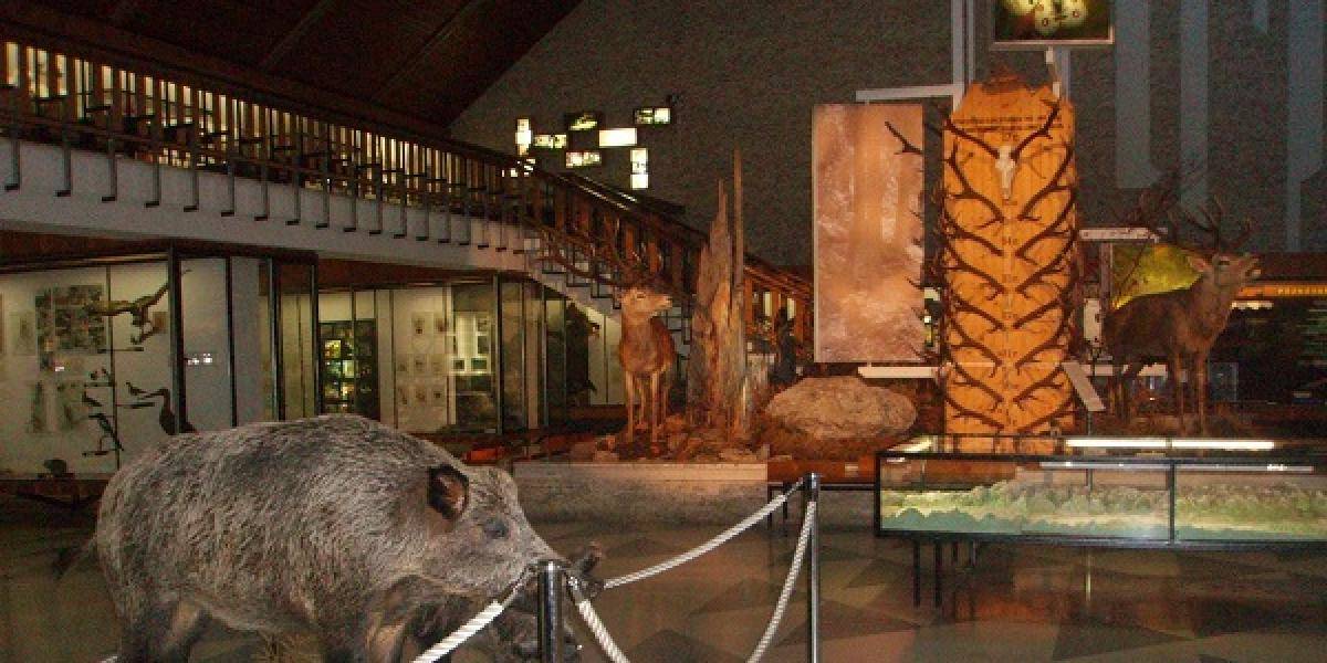 Múzeum TANAP-u je opäť otvorené