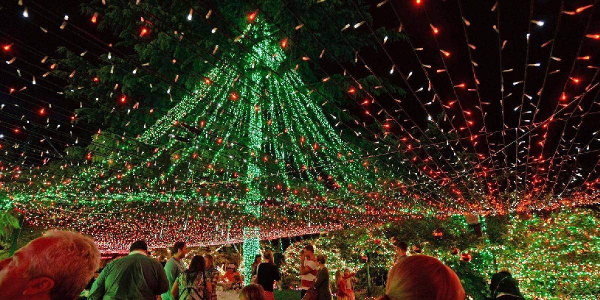 Guinnessov rekord: Austrálska rodina zažala na svojom dome najviac vianočných svetiel na svete!