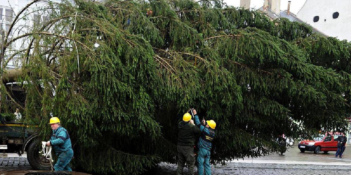 Silný vietor prevrátil 11-metrový vianočný stromček pred obchodným centrom v Nitre
