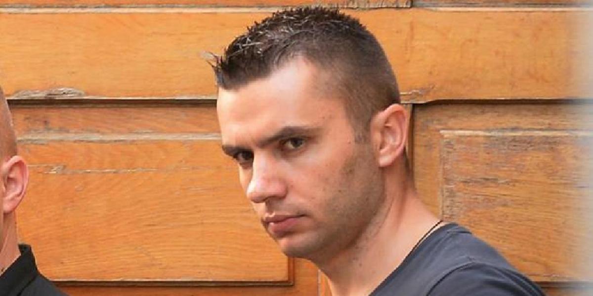 Vodca rumunského gangu zlodejov umeleckých diel dostal takmer sedem rokov