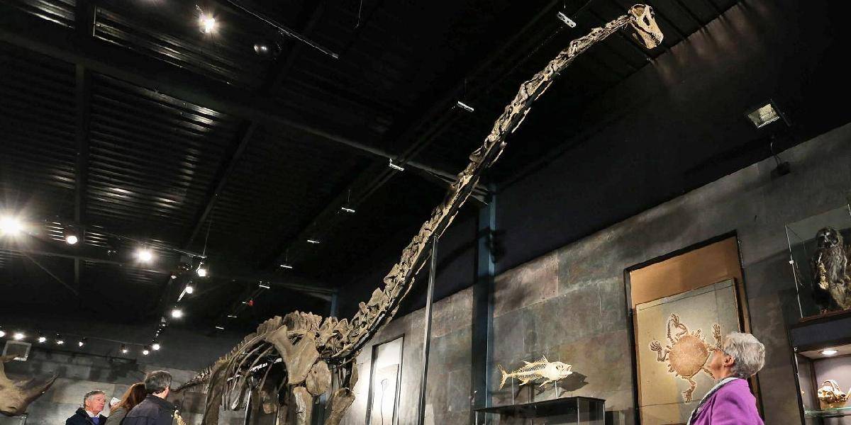 V Británii vydražili kostru dinosaura za takmer 500.000 eur