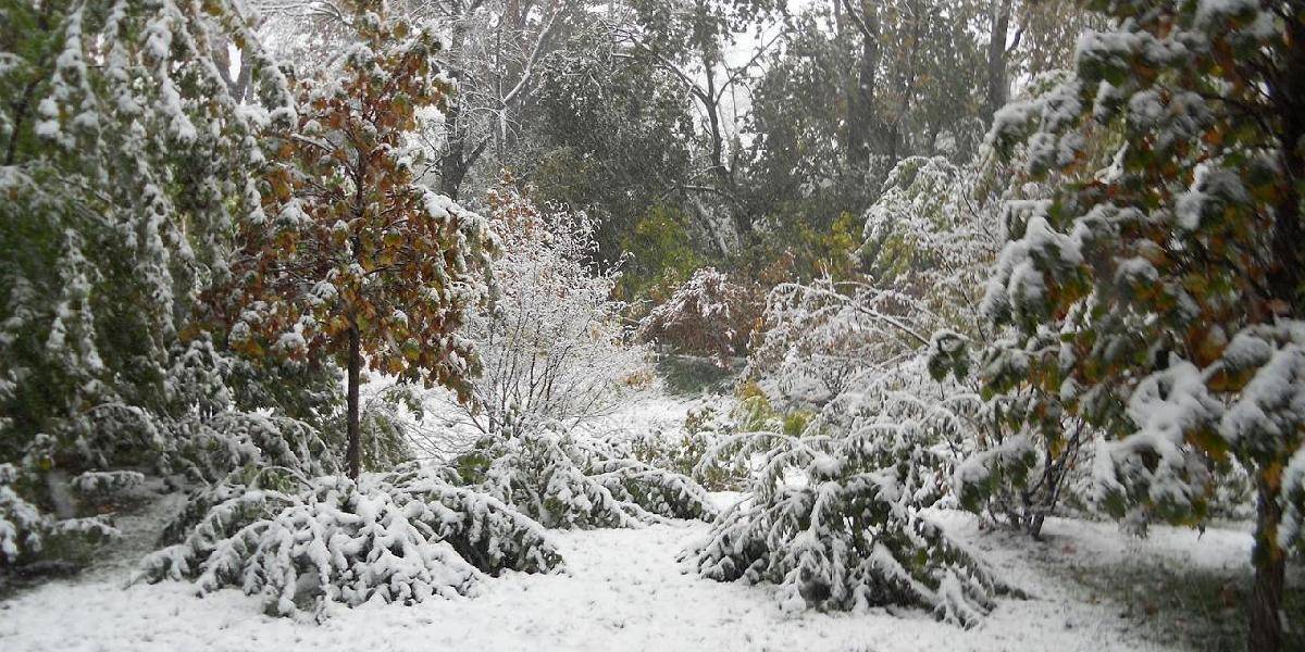 SHMÚ:Na juhozápade a juhu stredného Slovenska môže v noci napadnúť až 7 cm snehu