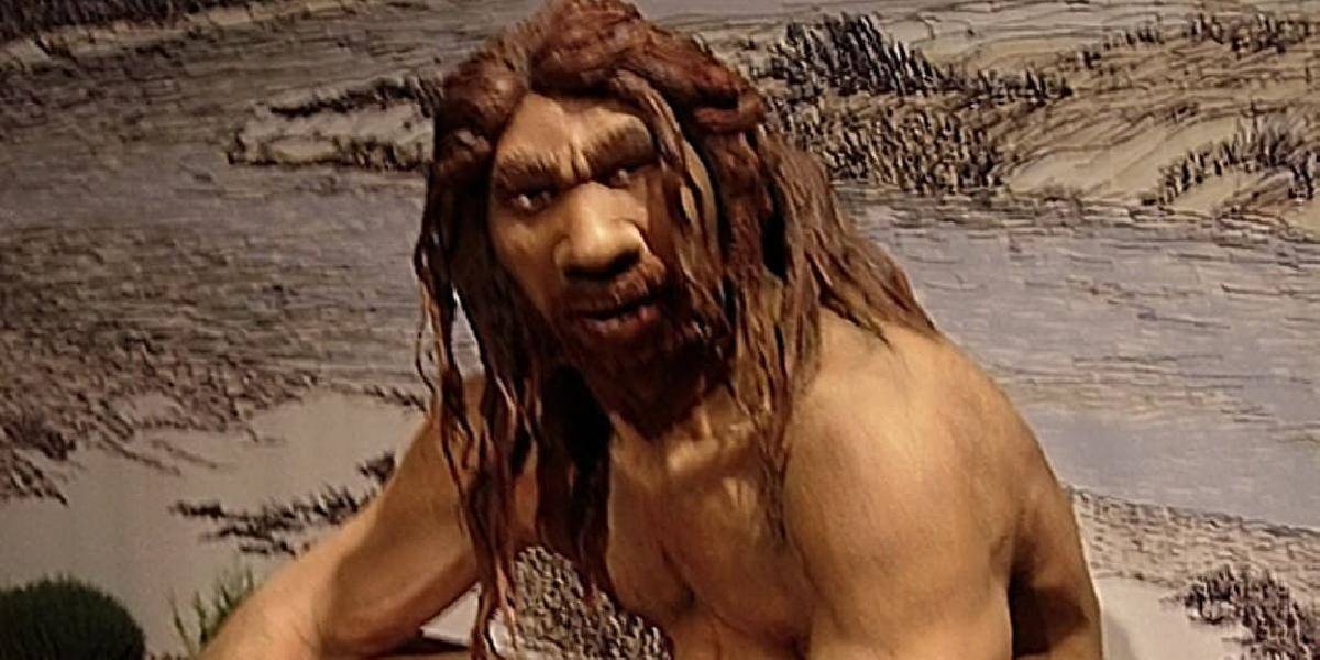 Získali DNA z predka ľudí - Homo heidelbergensis - spred 400-tisíc rokov!