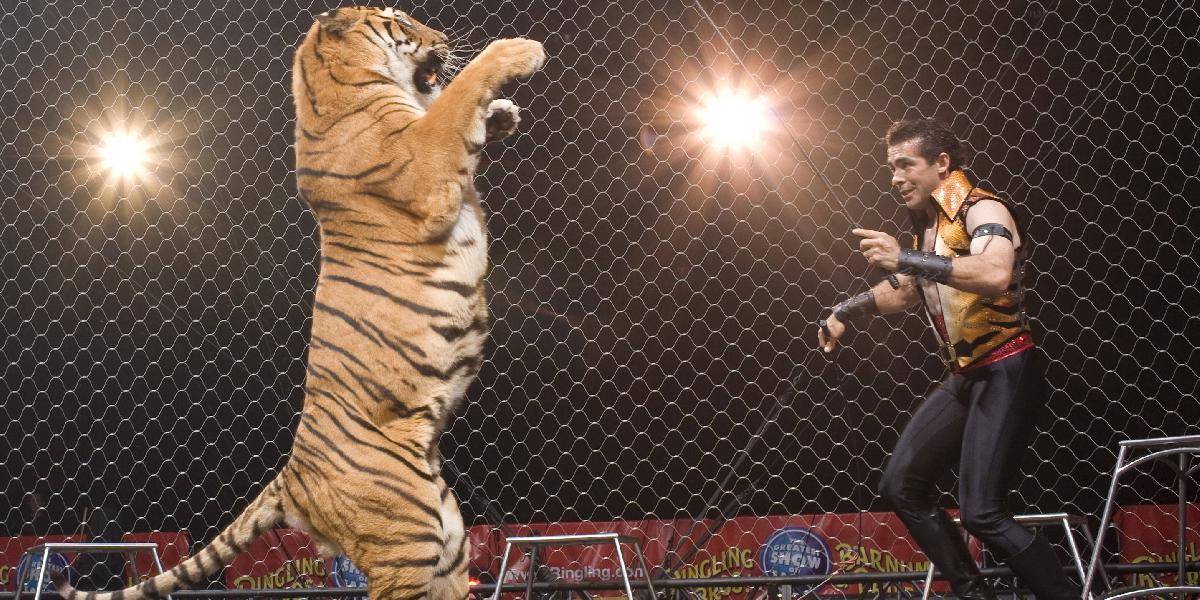 VIDEO Horor v cirkuse: Krotiteľa napadol tiger!