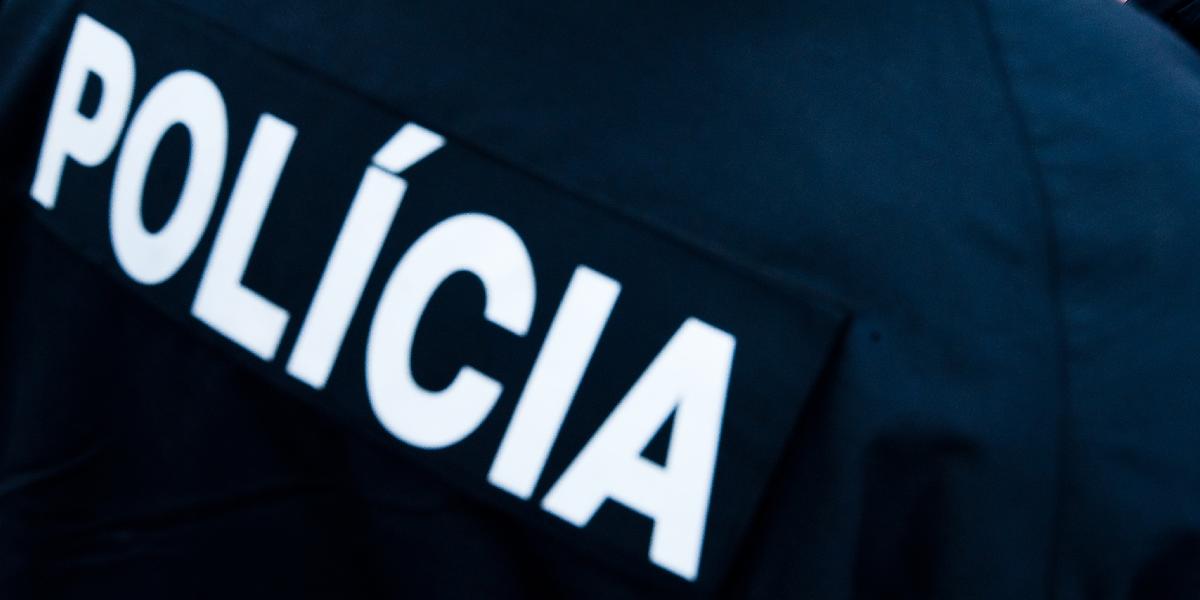 SIS sledovala aktivity deštrukčných siekt