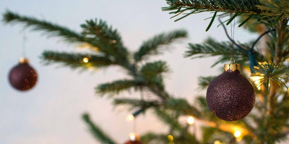 Vianočný stromček pochádza z Nemecka