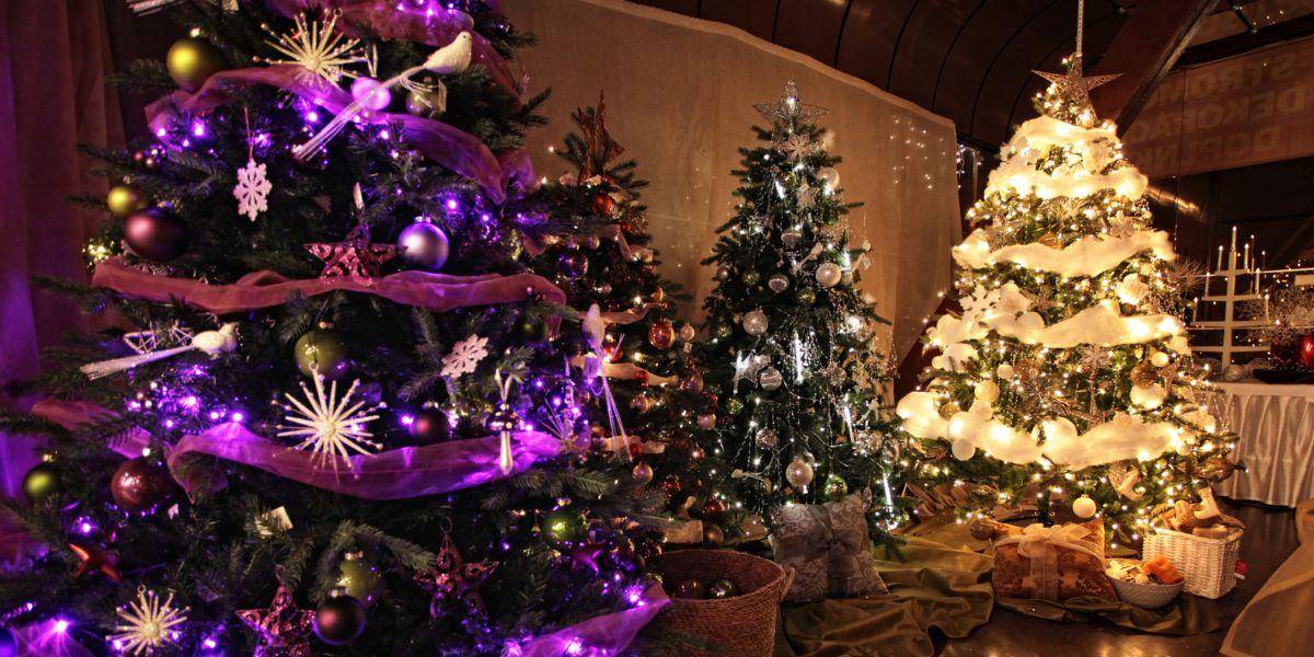 Vianočné sviatky boli kedysi plné mágie, čarov a kúziel