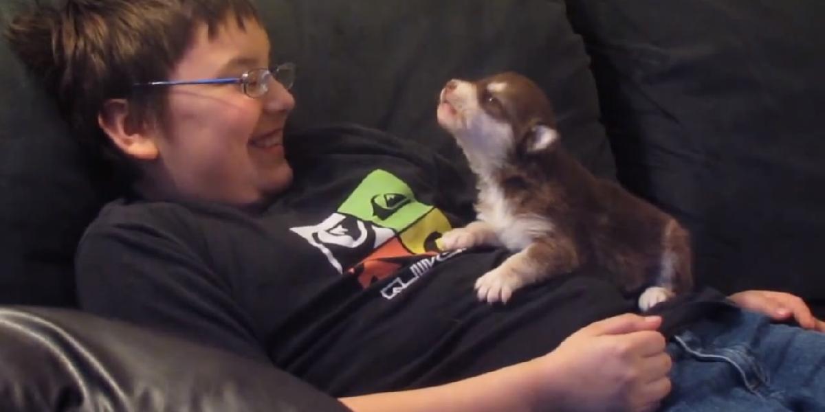 VIDEO Hit internetu: Chlapec učí zavýjať huskyho!