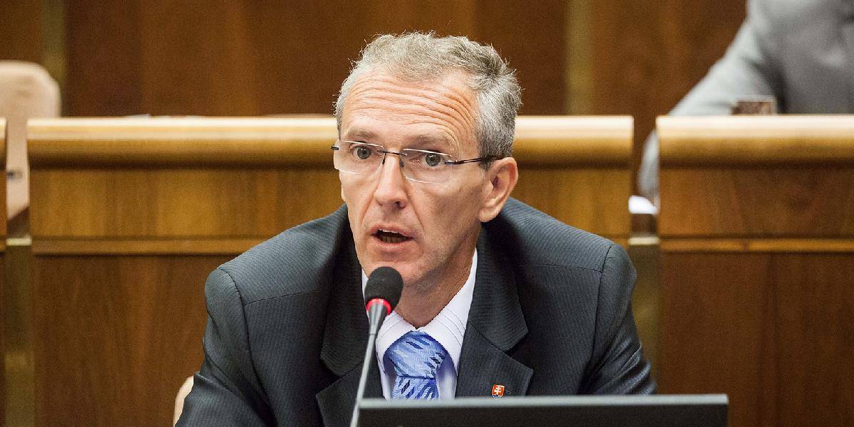 Štefanec: Rok 2013 bol pre Slovensko strateným časom