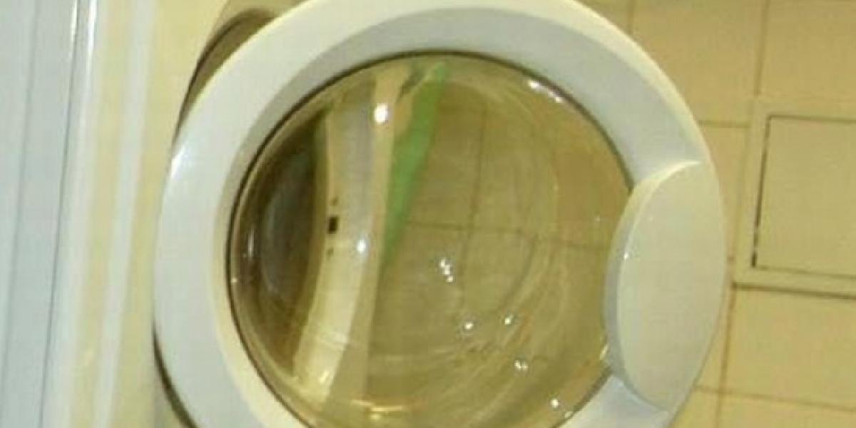 V Austrálii zachraňovali naháča, ktorý uviazol v automatickej práčke