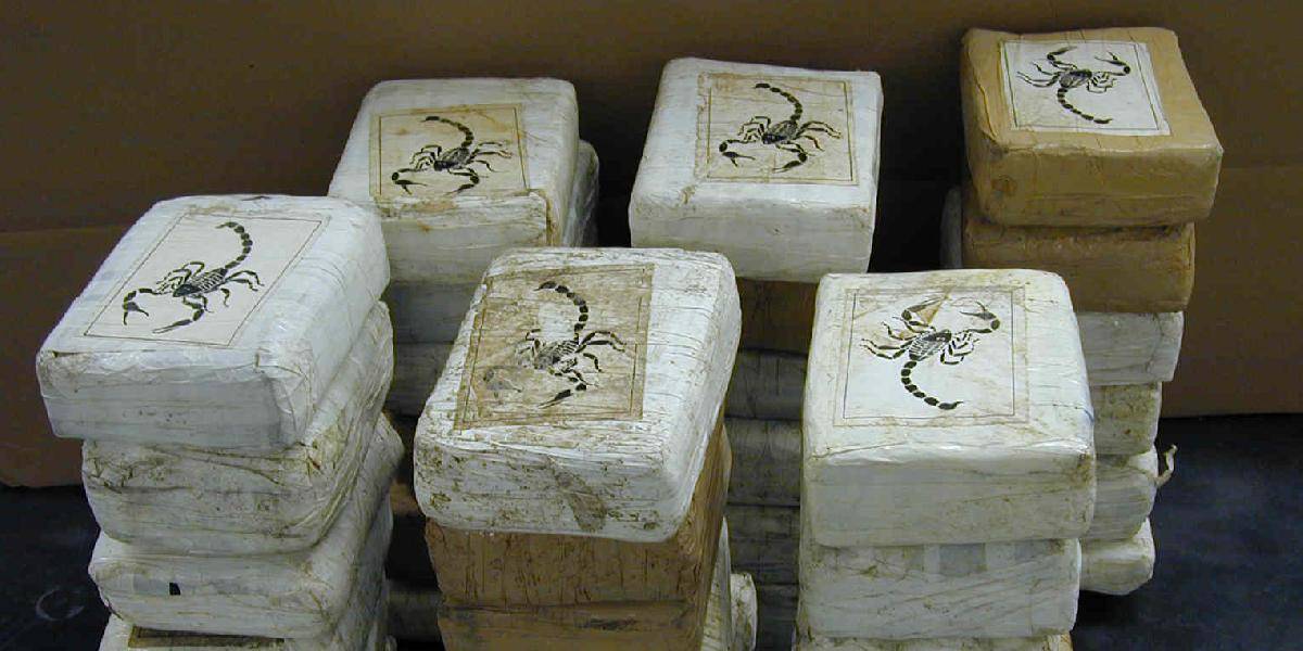 Obrovský nález v Nemecku: V škatuliach od banánov sa našlo 140 kilogramov kokaínu