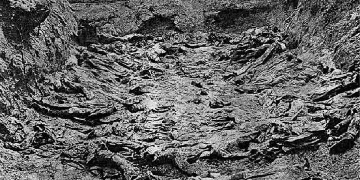 Historička našla svedectvo vojaka USA o exhumácii tiel v Katyni z roku 1943