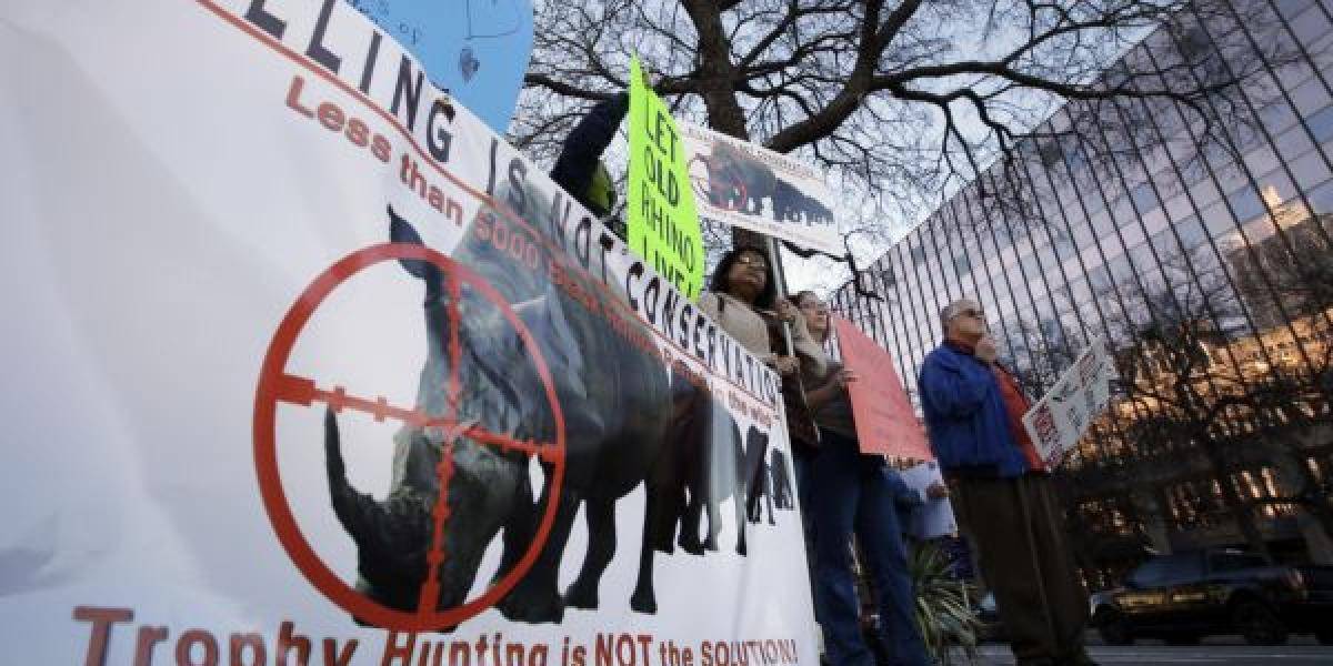  Povolenie na lov čierneho nosorožca vydražili za 350.000 dolárov