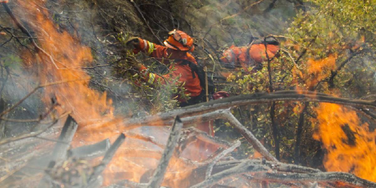 Austrália má prvú obeť rozsiahlych lesných požiarov