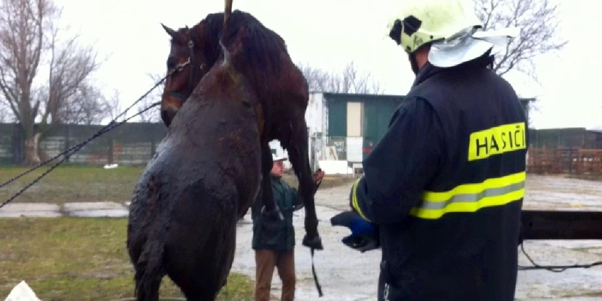 FOTO Hasiči zachránili koňa, ktorý spadol do šachty