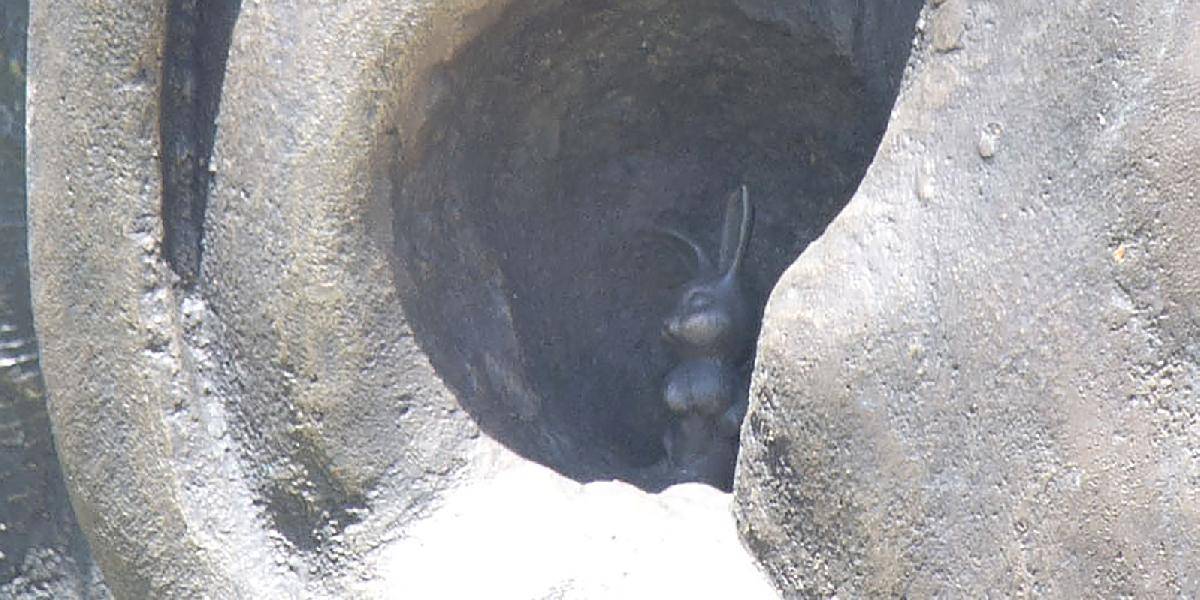 Bizarná figúrka zajaca v uchu sochy Nelsona Mandelu vyvolala pobúrenie