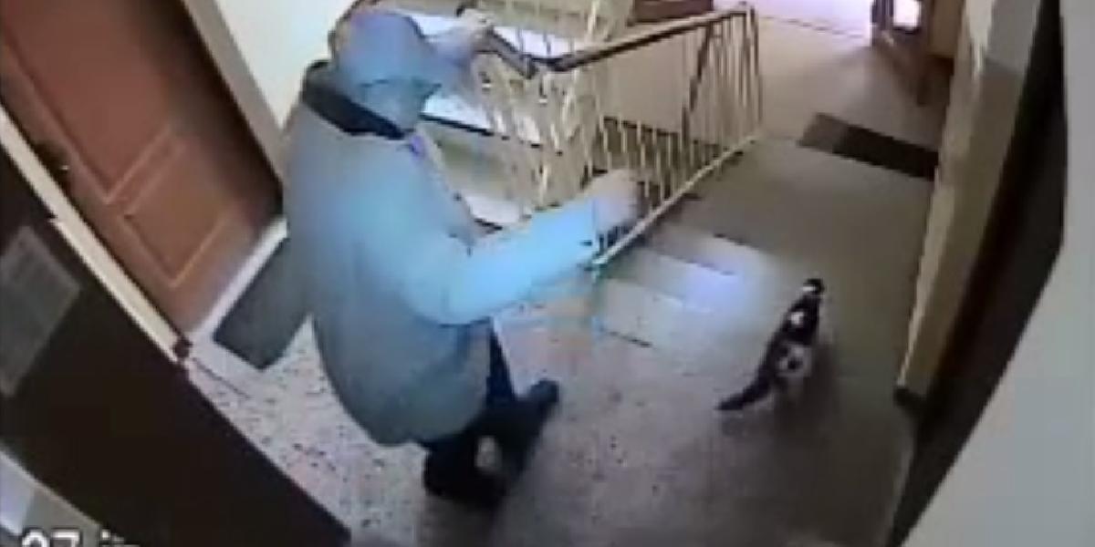 VIDEO Toto nie je človek: Muž vykopal mačku z trnavskej bytovky!