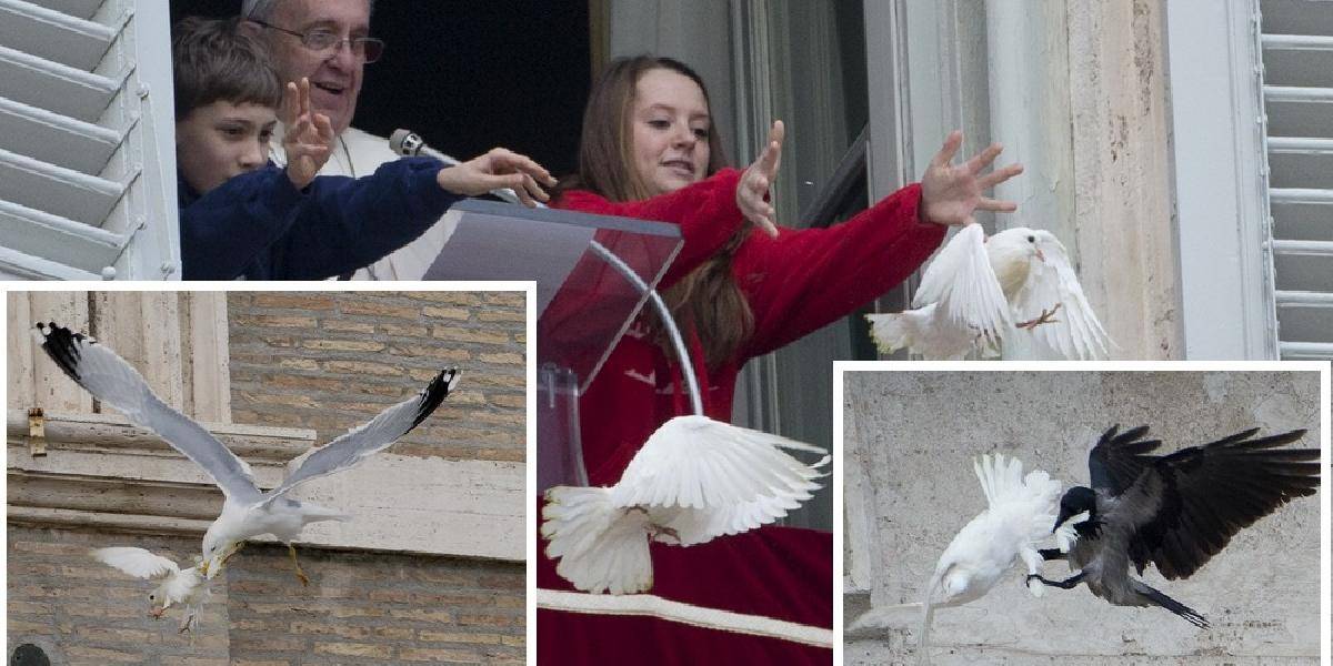FOTO Ukrajine nepraje ani osud: Pápež vypustil holubice mieru, napadli ich vrana a čajka!