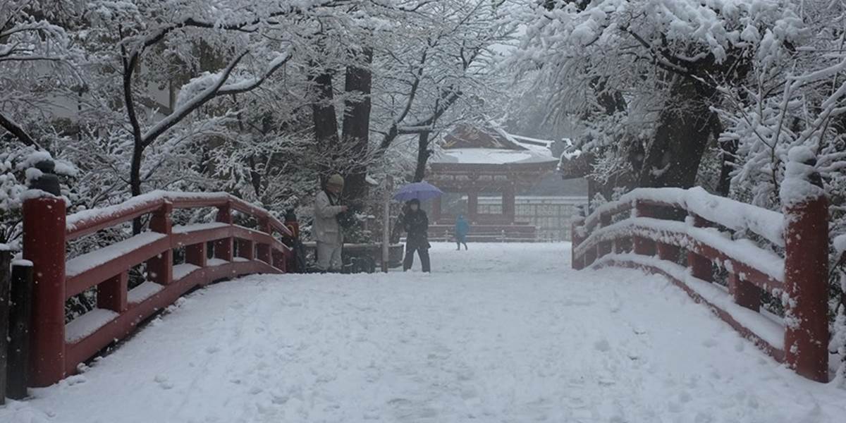 Tokio a okolie zažíva najhoršiu zimu za posledných 45 rokov