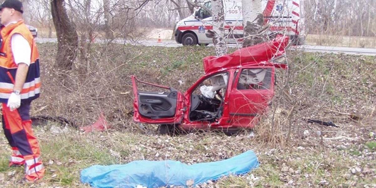 FOTO Tragická nehoda: Auto sa pri náraze o strom rozpolilo, vodič neprežil!