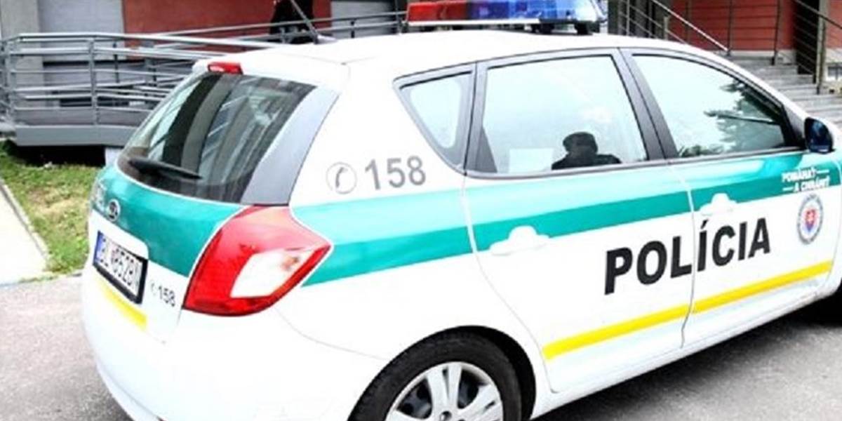 V Galantskom okrese polícia obvinila viacerých zlodejov