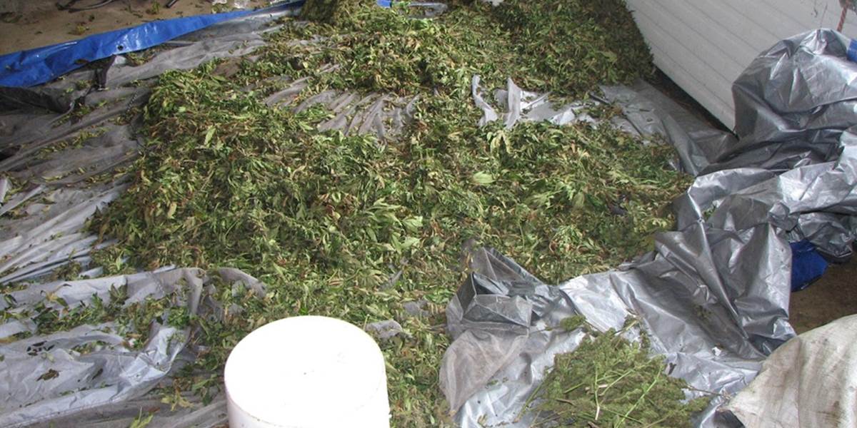 V Mexiku objavili masový hrob obetí drogových kartelov: Našli aj úkryt s jednou tonou marihuany!