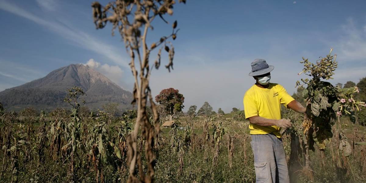 Prírodné požiare v Indonézii ohrozujú zdravie 50 tisíc obyvateľov