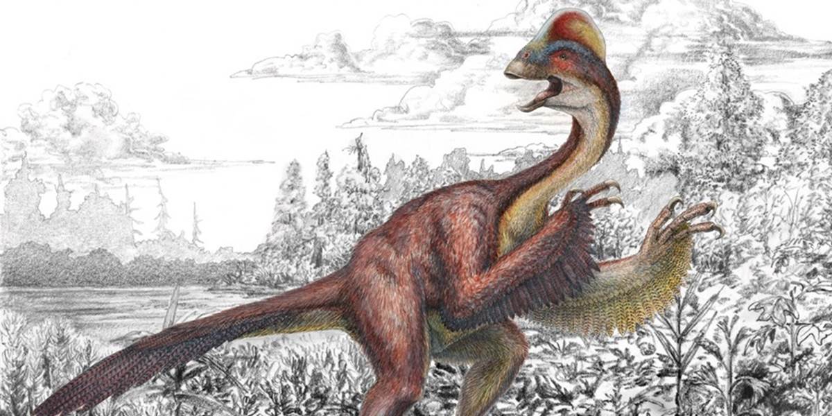 Americký paleontológovia popísali nový druh dinosaura prezývaného "kura z pekla"