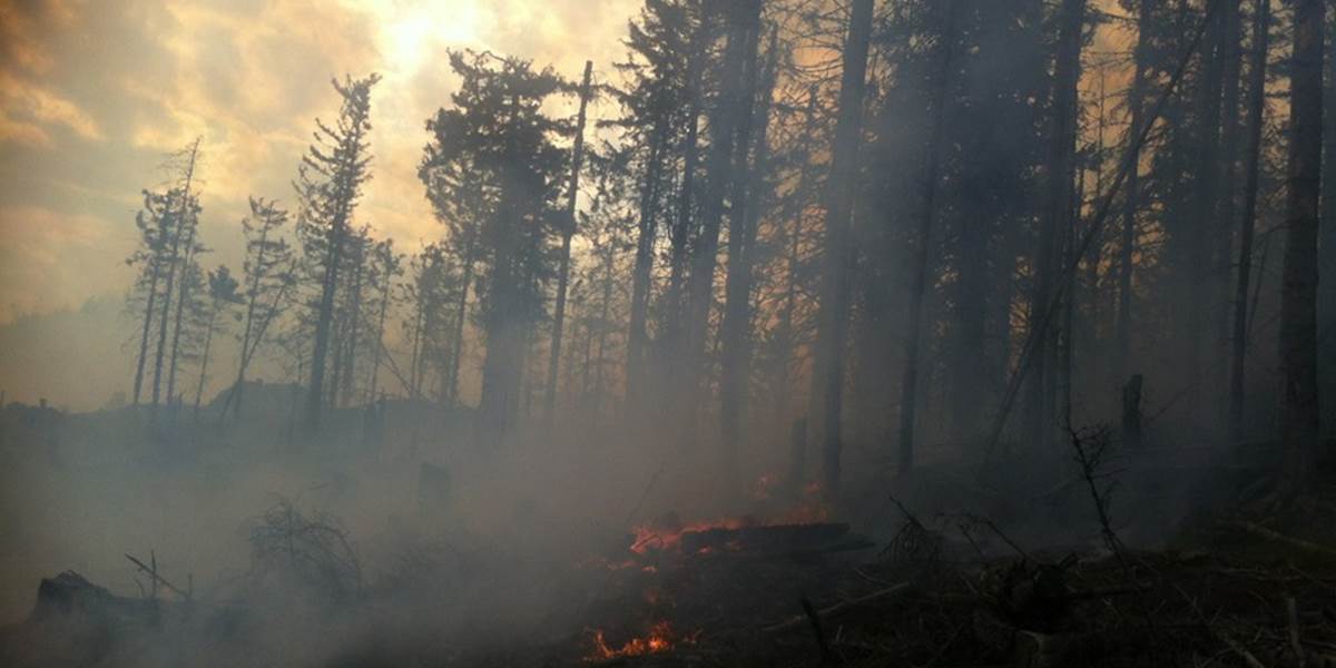 Rozsiahly požiar zasiahol asi päť hektárov lesa v obci Betliar