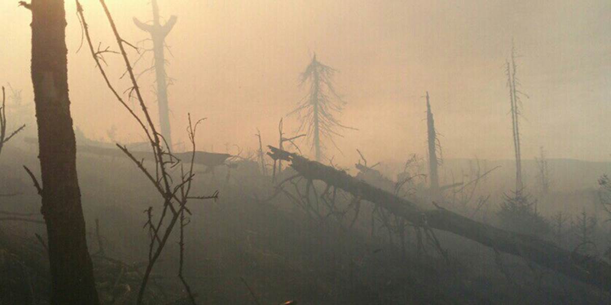 Les pri Betliari stále horí