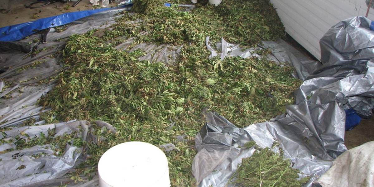 Argentínska polícia zhabala 1,5 tony marihuany