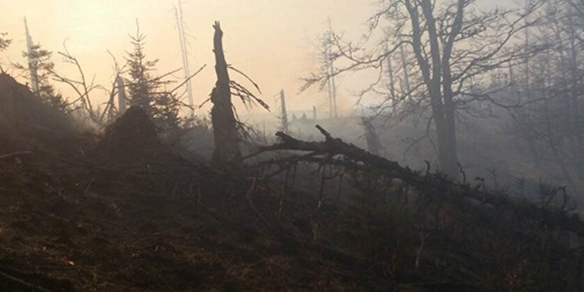 Hasiči zasahujú pri požiari lesa